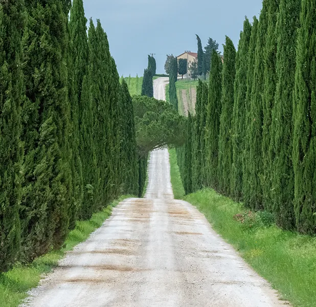 Landscape nature photo