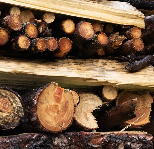 Landscape nature photo
