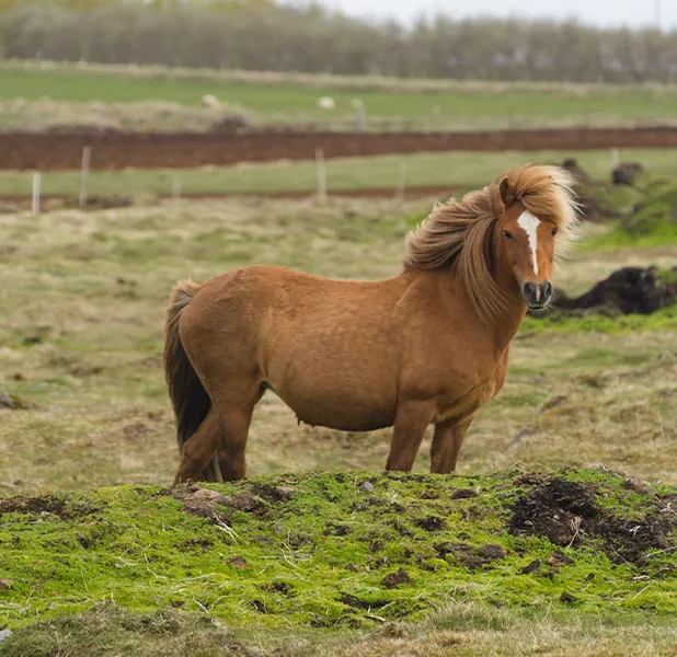 Landscape nature photo