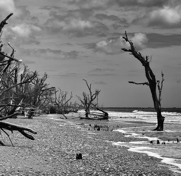 Landscape nature photo