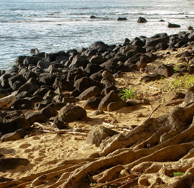 Landscape nature photo