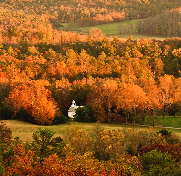 Landscape nature photo
