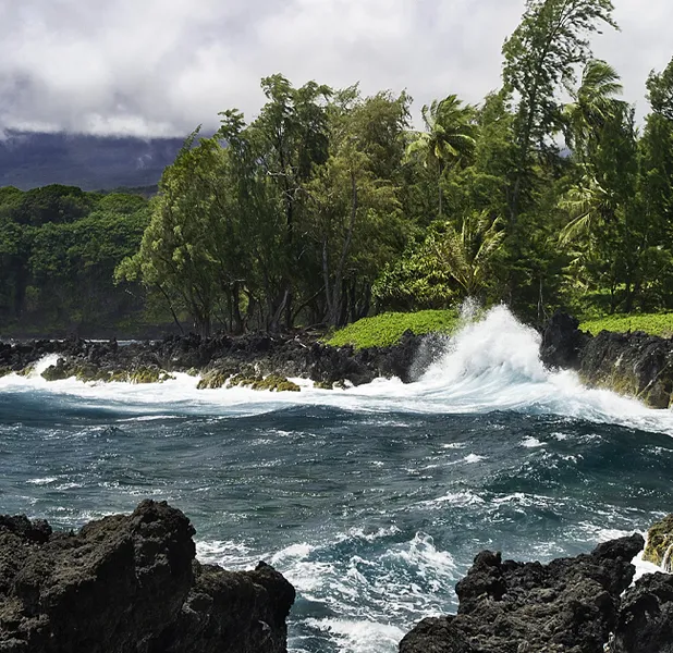 Landscape nature photo