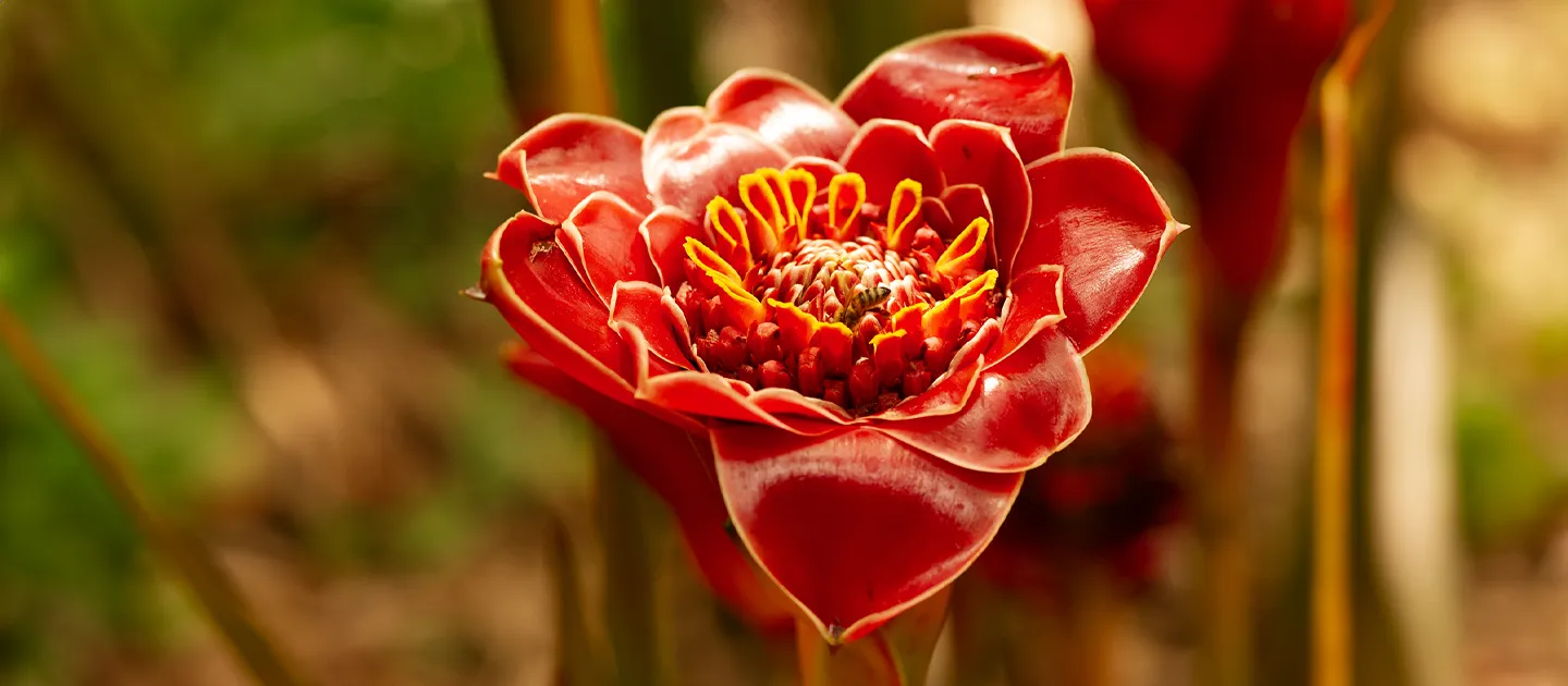 What Fasting Adds to Prayer