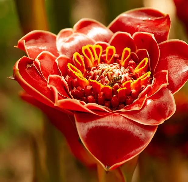 Landscape nature photo