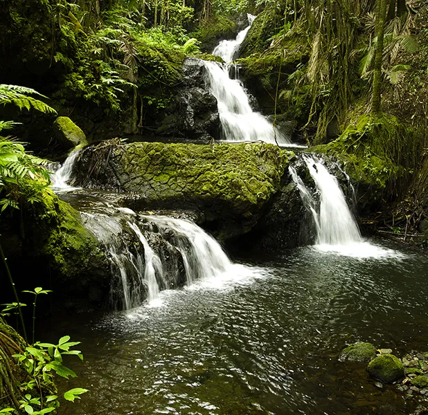 Landscape nature photo