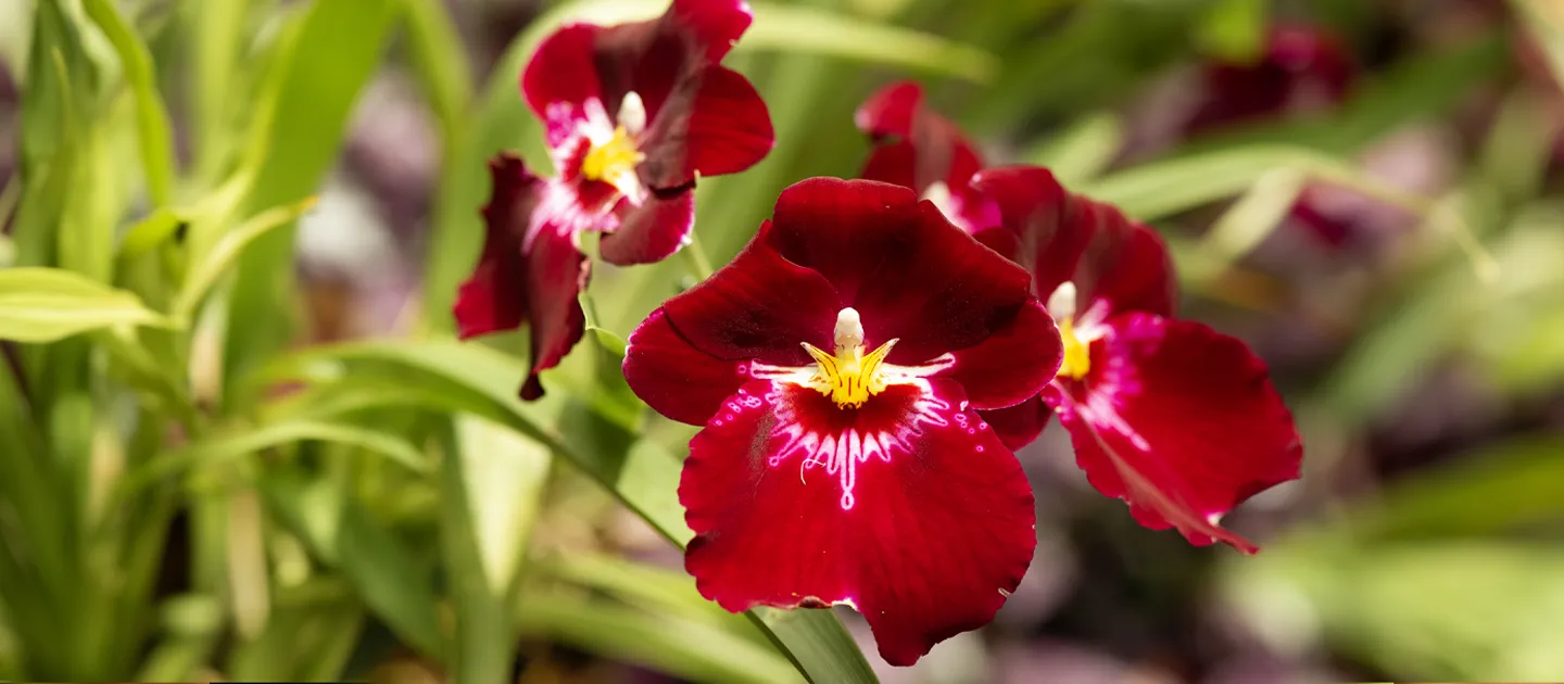 What Can You Do for God?