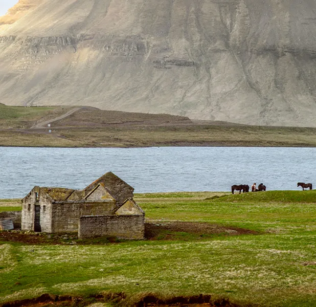 Landscape nature photo