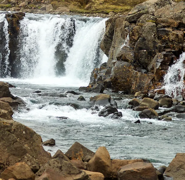 Landscape nature photo