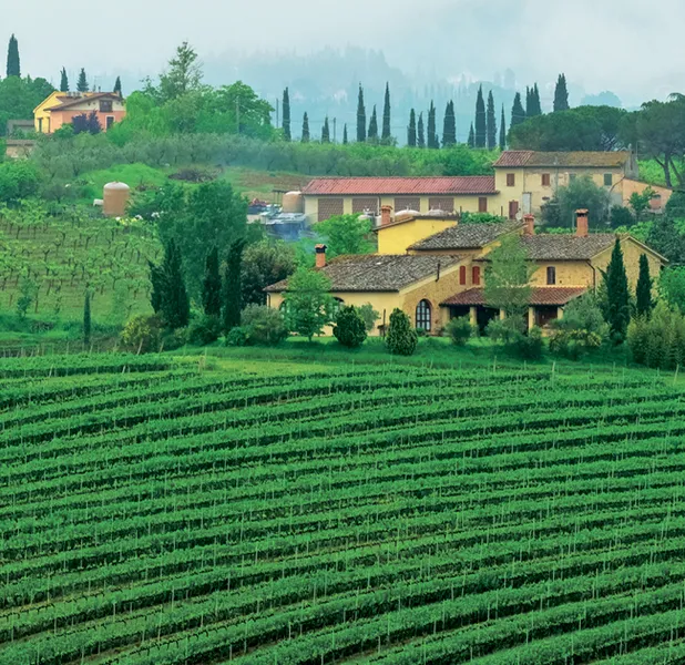 Landscape nature photo