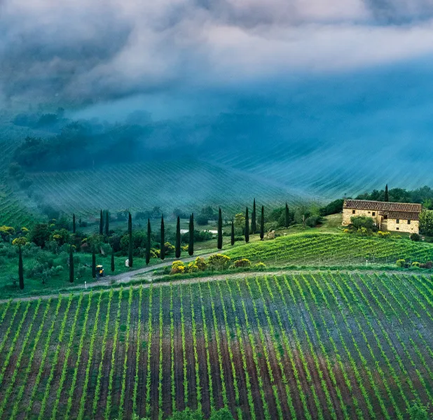 Landscape nature photo