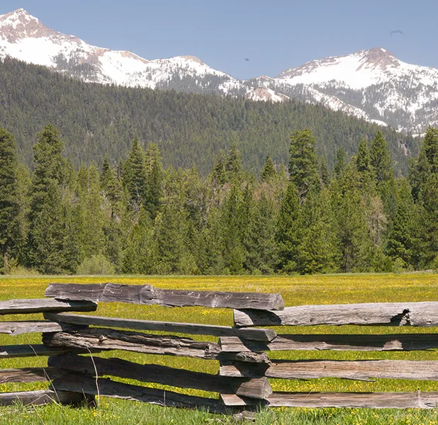 Landscape nature photo