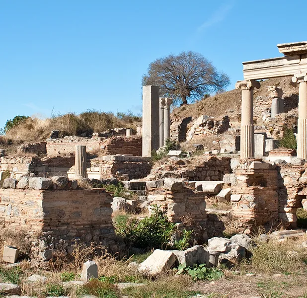 Landscape nature photo