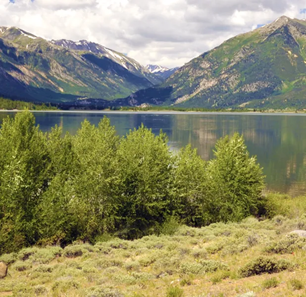 Landscape nature photo