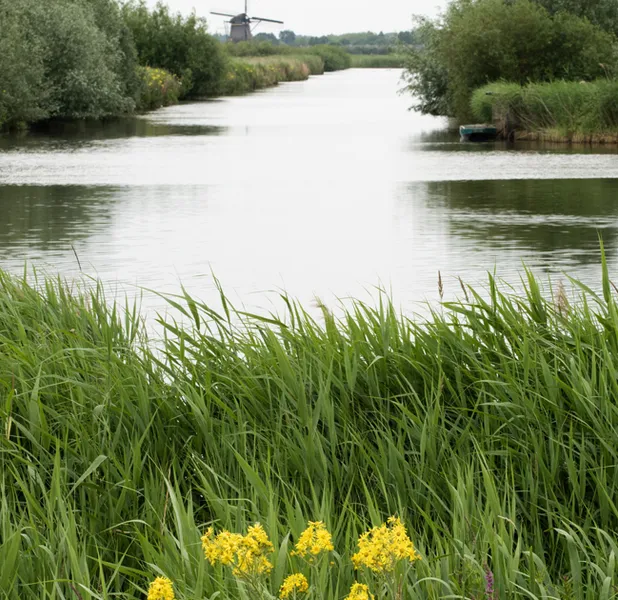 Landscape nature photo