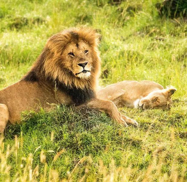 Landscape nature photo