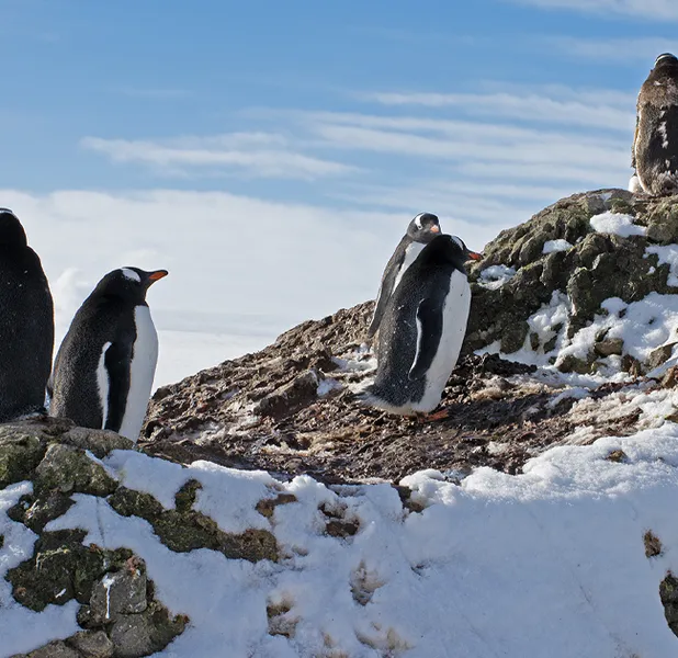 Landscape nature photo