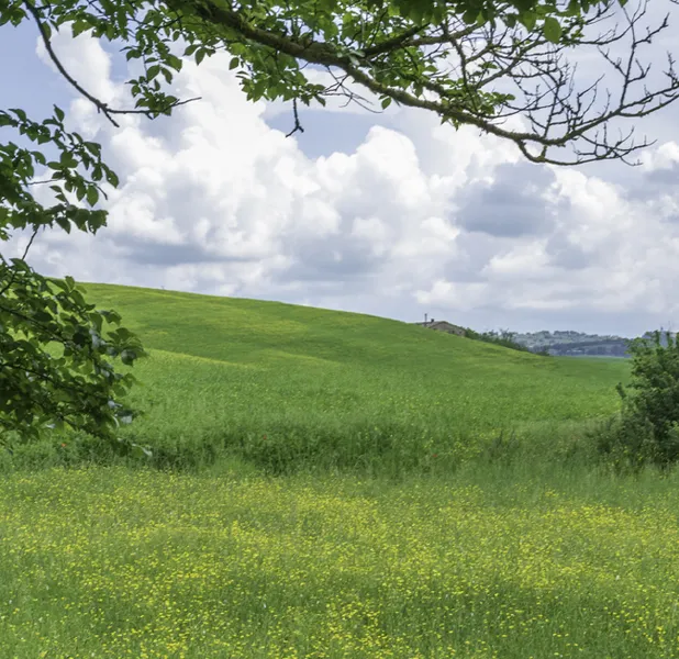 Landscape nature photo