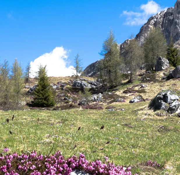 Landscape nature photo