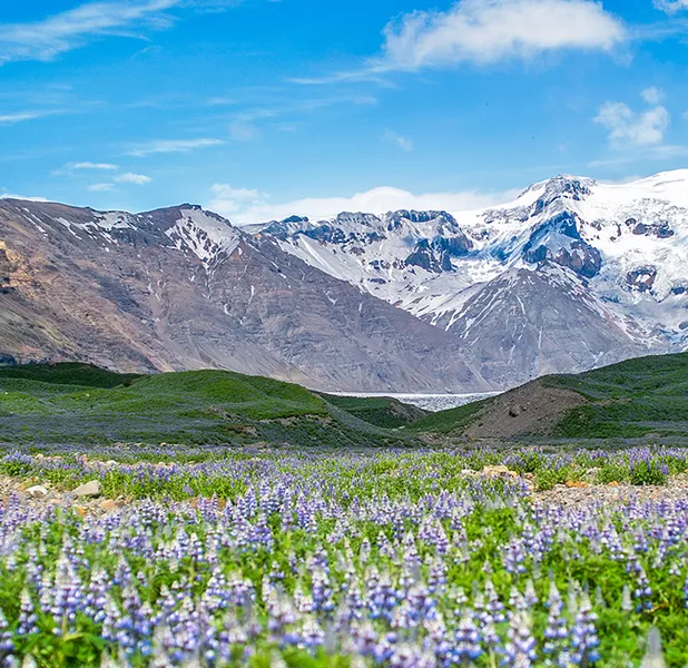 Landscape nature photo