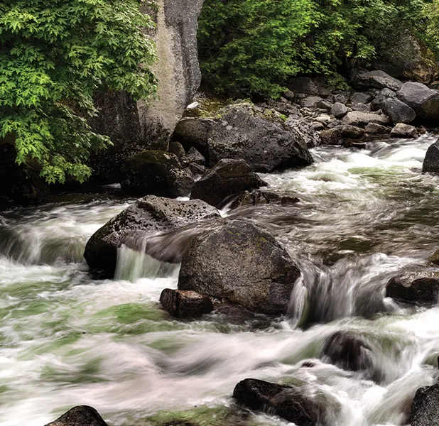 Landscape nature photo