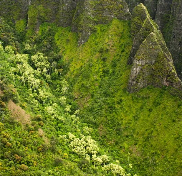 Landscape nature photo