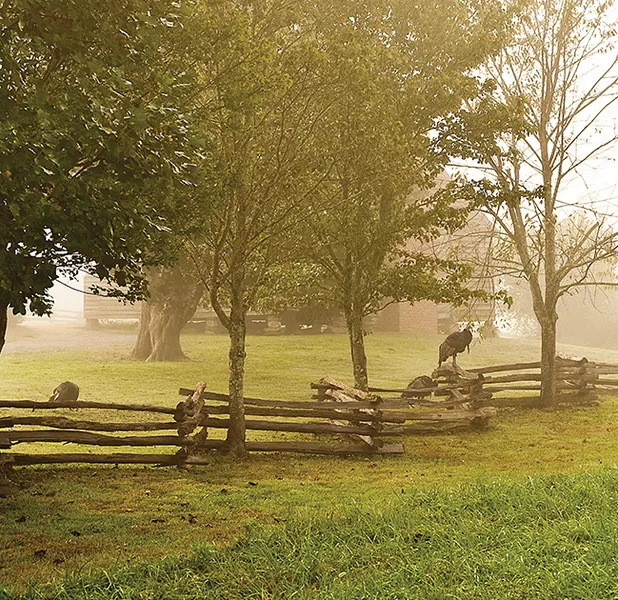 Landscape nature photo