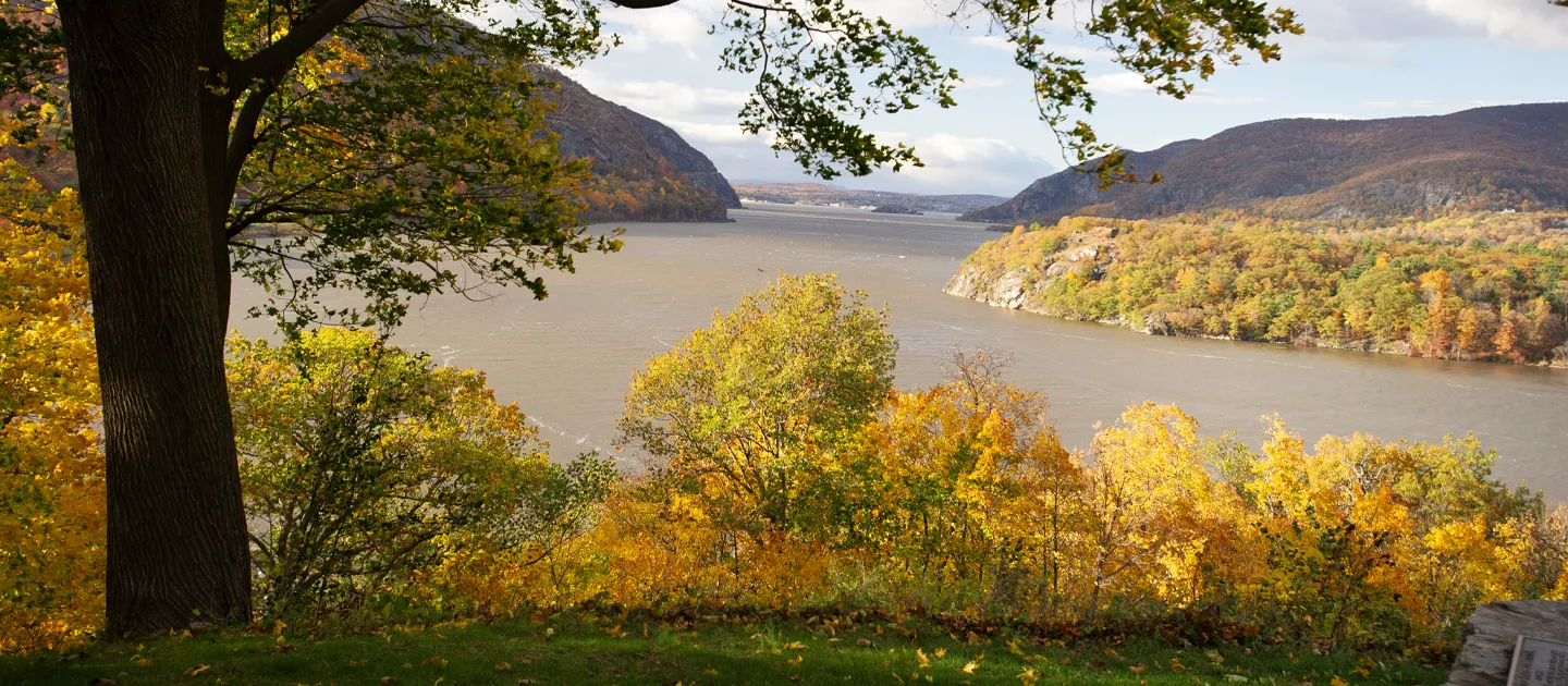 How Rebellion Happens